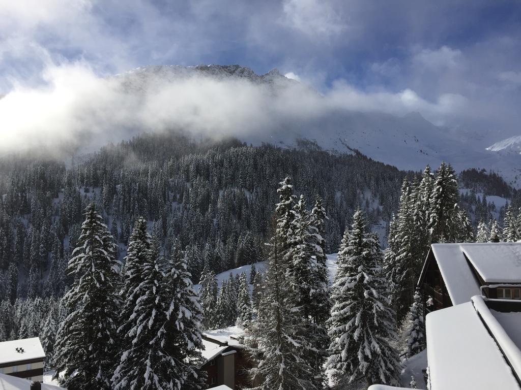 Hotel Basic Hotel Arosa